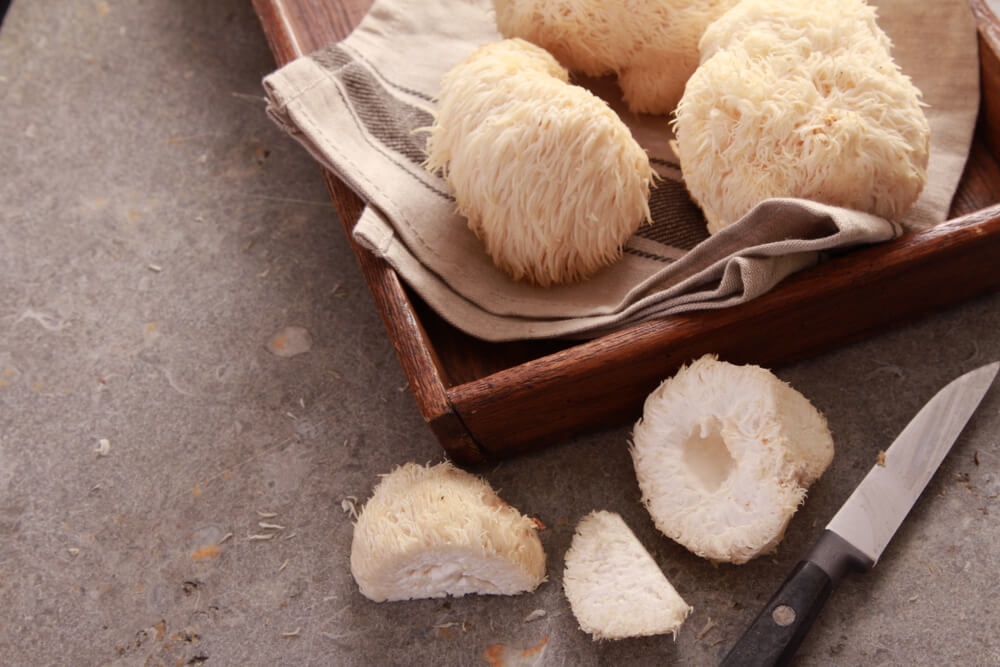 Ежовик гребенчатый (Hericium erinaceus) - 2