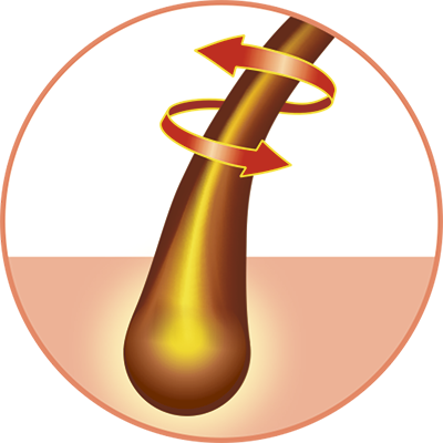 волосяная-луковица_2.png